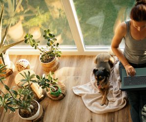 Cómo proteger tu laptop contra robos y daños