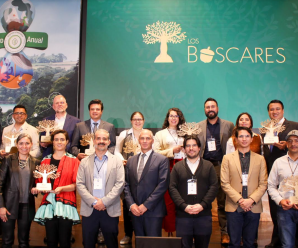 Premian a Grupo AJE con el  galardón “Los Bóscares” por su compromiso de proteger los bosques de la región